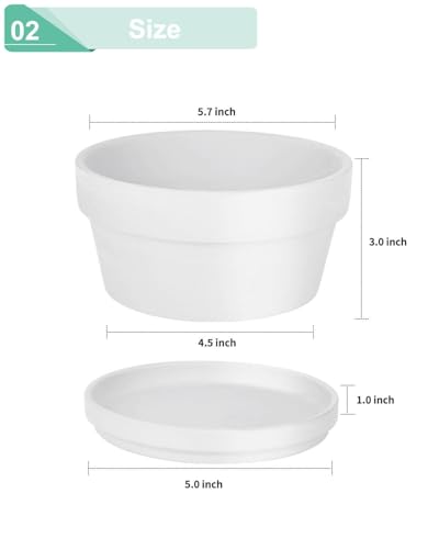 5.7 Inch White Terracotta Succulent Pots with Saucers (White / 5.7 Inch)