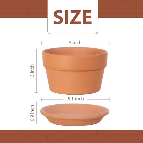 5 Inch Terracotta Shallow Pots Set with Saucer (Shallow 5 inch-6 pcs)