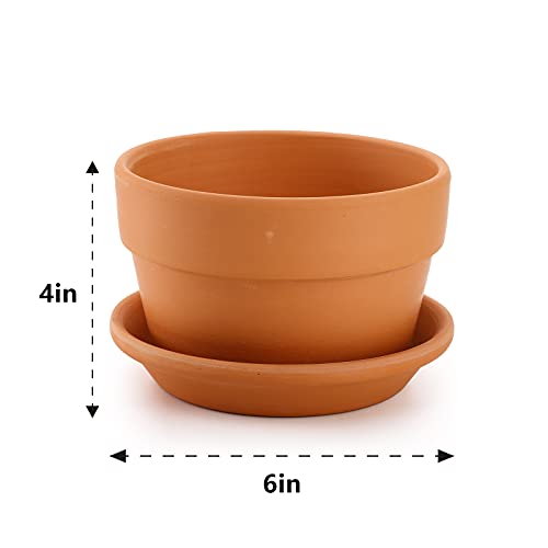 4 Pack Terracotta Pots with Saucer (6x4 Inch)