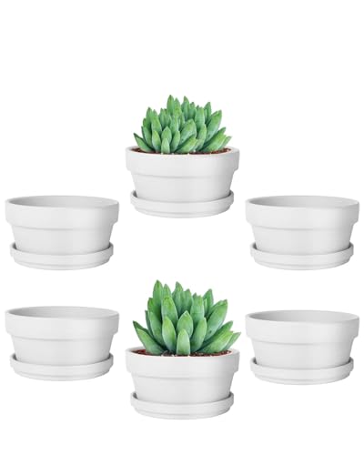 4.5 Inch White Terracotta Succulent Pots with Saucers (White / 4.5 Inch)
