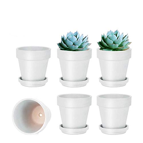 4 Inch White Terracotta Plant Pots with Saucer (White)