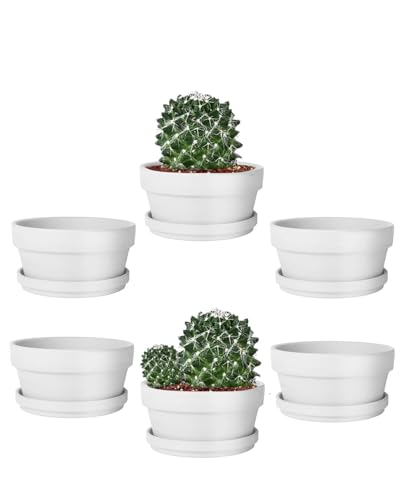 5.7 Inch White Terracotta Succulent Pots with Saucers (White / 5.7 Inch)
