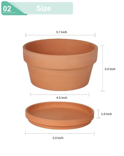 5.7 Inch Terracotta Shallow Succulent Pot (Brown / 5.7 Inch)