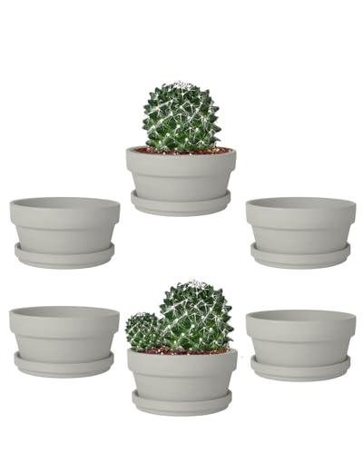 5.7 Inch Grey Terracotta Succulent Pots with Saucers (Gray / 5.7 Inch)