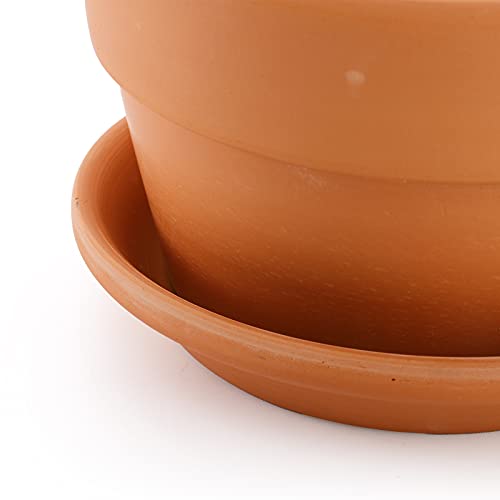 4 Pack Terracotta Pots with Saucer (6x4 Inch)