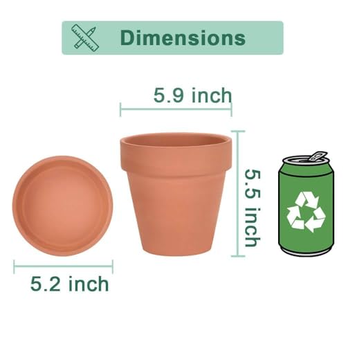 6 Inch Terracotta & Clay Pots for Plant with Saucer (Brown)