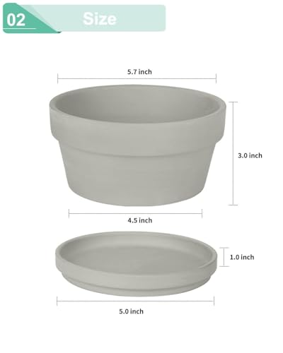 5.7 Inch Grey Terracotta Succulent Pots with Saucers (Gray / 5.7 Inch)