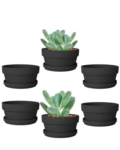 3.7 Inch Black Terracotta Succulent Pots with Saucers (Black / 3.7 Inch)