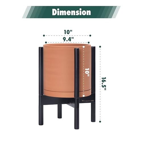Terracotta Pot with Ebony Wood Stand (10 Inch / Terracotta Pot + Ebony Stand)