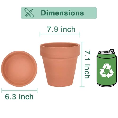 8 Inch Clay Pot for Plant with Saucer (Brown)