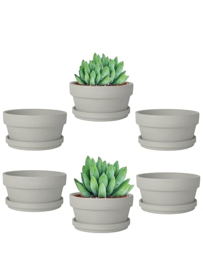 4.5 Inch Grey Terracotta Succulent Pots with Saucers (Gray / 4.5 Inch)