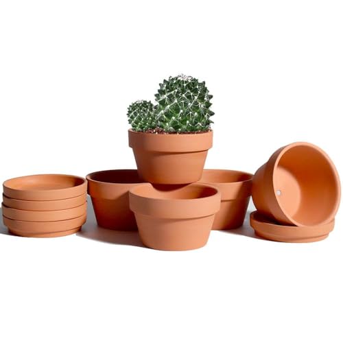 5.7 Inch Terracotta Shallow Succulent Pot (Brown / 5.7 Inch)