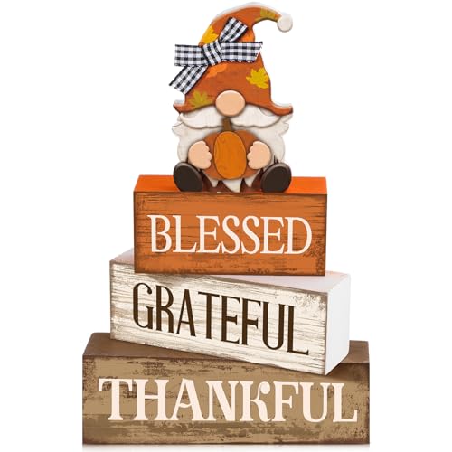 4 Pcs Fall Gnome Block Signs Thanksgiving Tiered Tray Decor (Blessed Gnome)