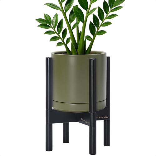 Ceramic Pot with Ebony Wood Stand (8 Inch / Olive Pot + Ebony Stand)