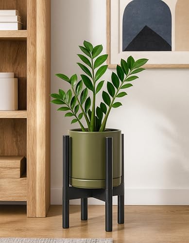 Ceramic Pot with Ebony Wood Stand (8 Inch / Olive Pot + Ebony Stand)