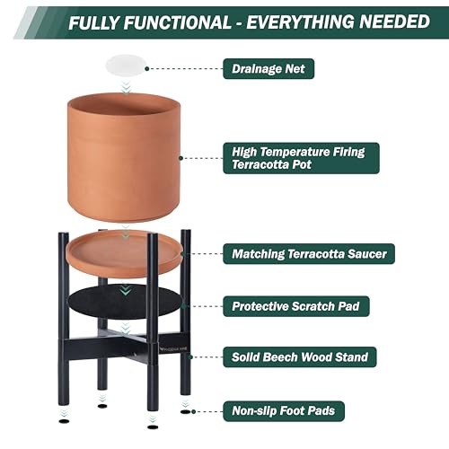 Terracotta Pot with Ebony Wood Stand (8 Inch / Terracotta Pot + Ebony Stand)