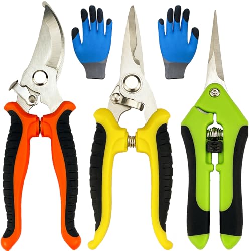 Pruning Shears