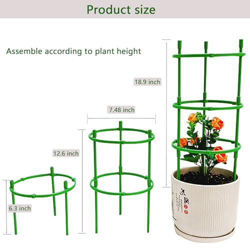 12 Packs Plant Support Stakes