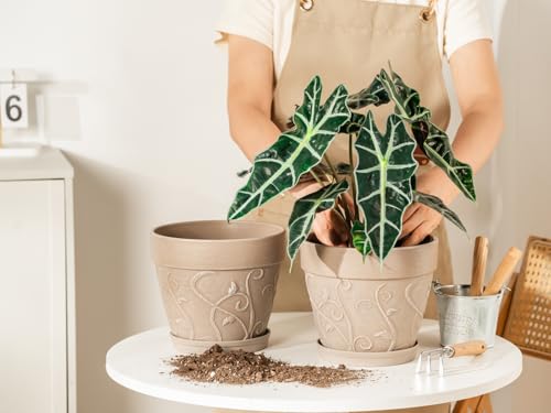 Plastic Plant Pots Indoor with Drainage & Saucer (Undecorated Pottery Color / 8 inch)