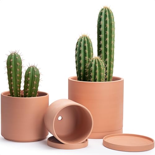 3 Pack Classic Terracotta Pots & Saucers (8+10+12 Inch / Terracotta)