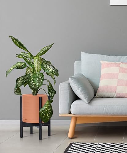 Terracotta Pot with Ebony Wood Stand (10 Inch / Terracotta Pot + Ebony Stand)