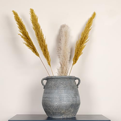 Whitewashed Terra (Gray)