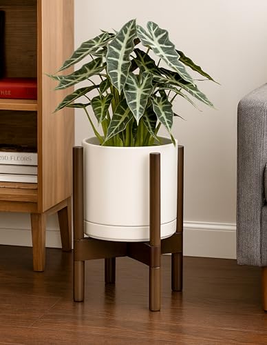 Ceramic Pot with Walnut Wood Stand (8 Inch / Oatmeal Pot + Walnut Color Stand)