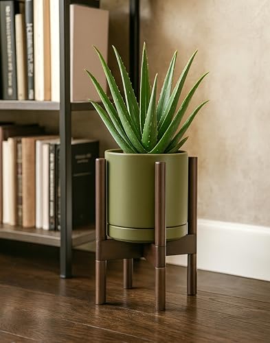 Ceramic Pot with Walnut Wood Stand (8 Inch / Olive Pot + Walnut Color Stand)
