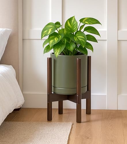 Ceramic Pot with Walnut Wood Stand (8 Inch / Olive Pot + Walnut Color Stand)