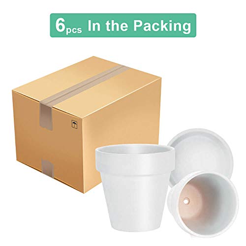 4 Inch White Terracotta Plant Pots with Saucer (White)