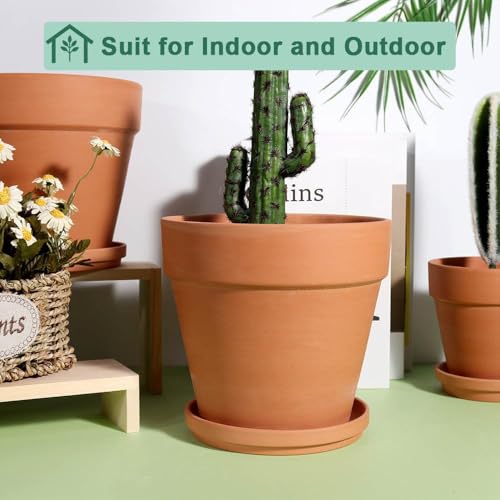 8 Inch Clay Pot for Plant with Saucer (Brown)
