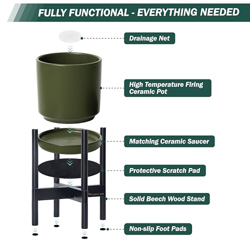 Ceramic Pot with Ebony Wood Stand (8 Inch / Olive Pot + Ebony Stand)