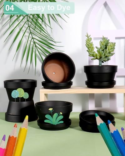 3.7 Inch Black Terracotta Succulent Pots with Saucers (Black / 3.7 Inch)