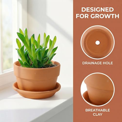 4 Pack Terracotta Pots with Saucer (6x4 Inch)