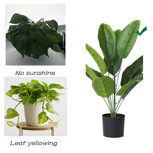 12Pack Stackable Plant Support Stakes Twigs Plant Stakes for Indoor