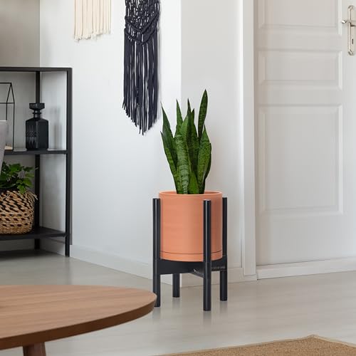 Terracotta Pot with Ebony Wood Stand (8 Inch / Terracotta Pot + Ebony Stand)