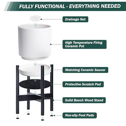 Ceramic Pot with Ebony Wood Stand (8 Inch / White Pot + Ebony Stand)