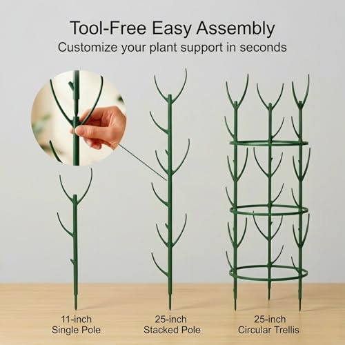 20 Pack Monstera Plant Support Stakes