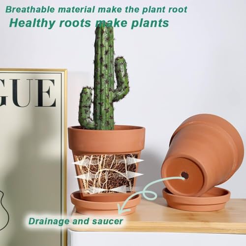 6 Inch Terracotta & Clay Pots for Plant with Saucer (Brown)