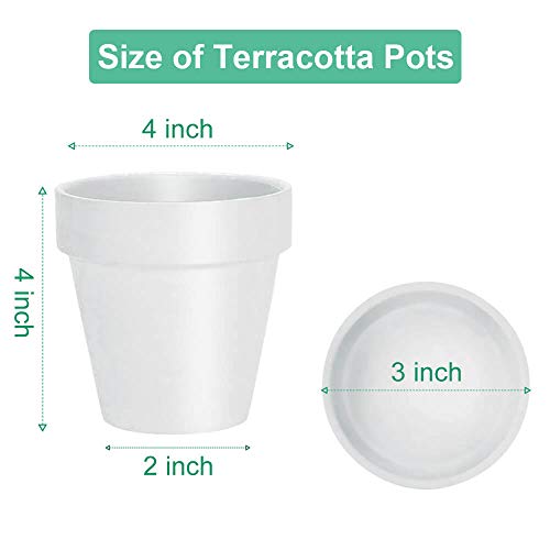 4 Inch White Terracotta Plant Pots with Saucer (White)