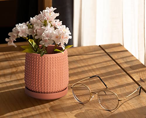 Beaded Terracotta Pot with Saucer (4.3 Inch / Terracotta)
