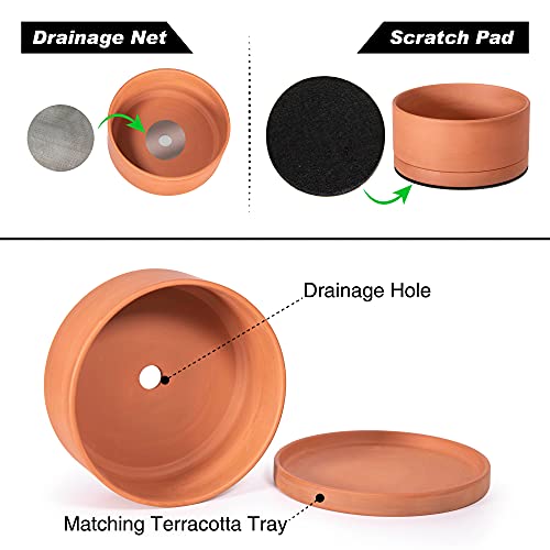 Terracotta Shallow Planter Pot with Saucer (10 Inch)