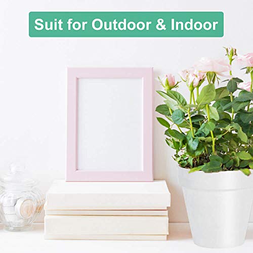 4 Inch White Terracotta Plant Pots with Saucer (White)