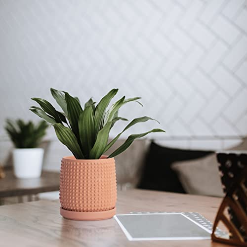 Beaded Terracotta Pot with Saucer (4.3 Inch / Terracotta)