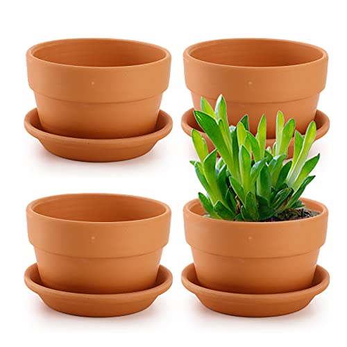 4 Pack Terracotta Pots with Saucer (6x4 Inch)