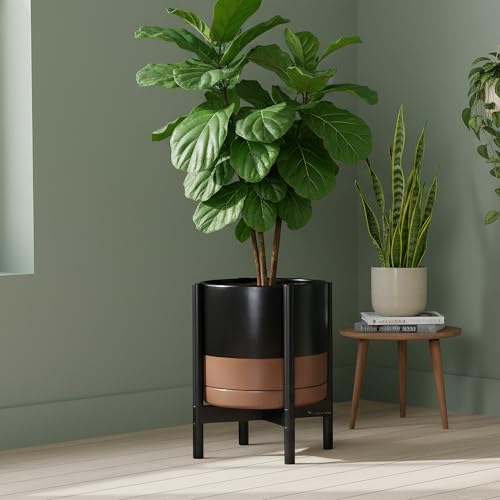 Ceramic Pot with Ebony Wood Stand (12 Inch / Black/Speckled Tan Pot + Ebony Stand)