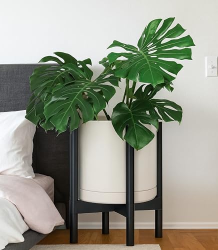 Ceramic Pot with Ebony Wood Stand (12 Inch / Oatmeal Pot + Ebony Stand)