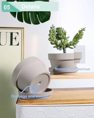 4.5 Inch Grey Terracotta Succulent Pots with Saucers (Gray / 4.5 Inch)