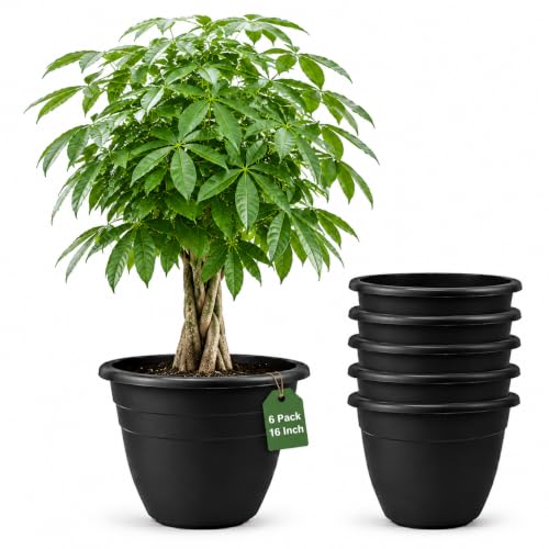 6 Pack 16 Inch Large Plant Pots (Black / 16 inch)