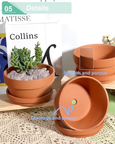 5.7 Inch Terracotta Shallow Succulent Pot (Brown / 5.7 Inch)